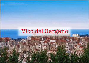 Vico-del-gargano bottone