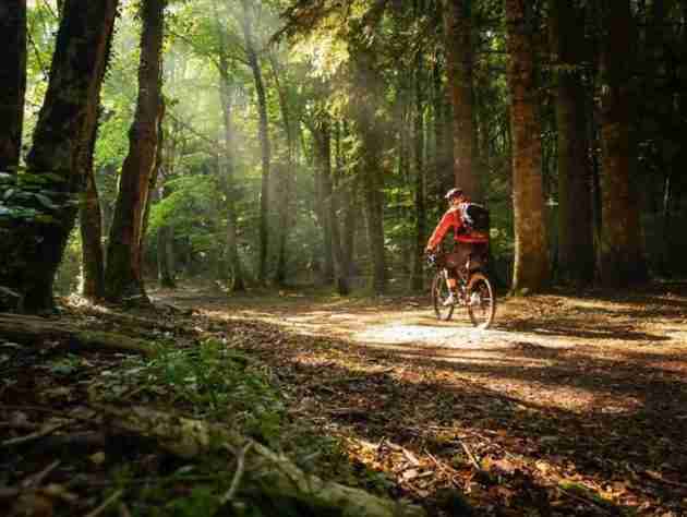 foresta-umbra bike what to do gargano san giovanni rotondo